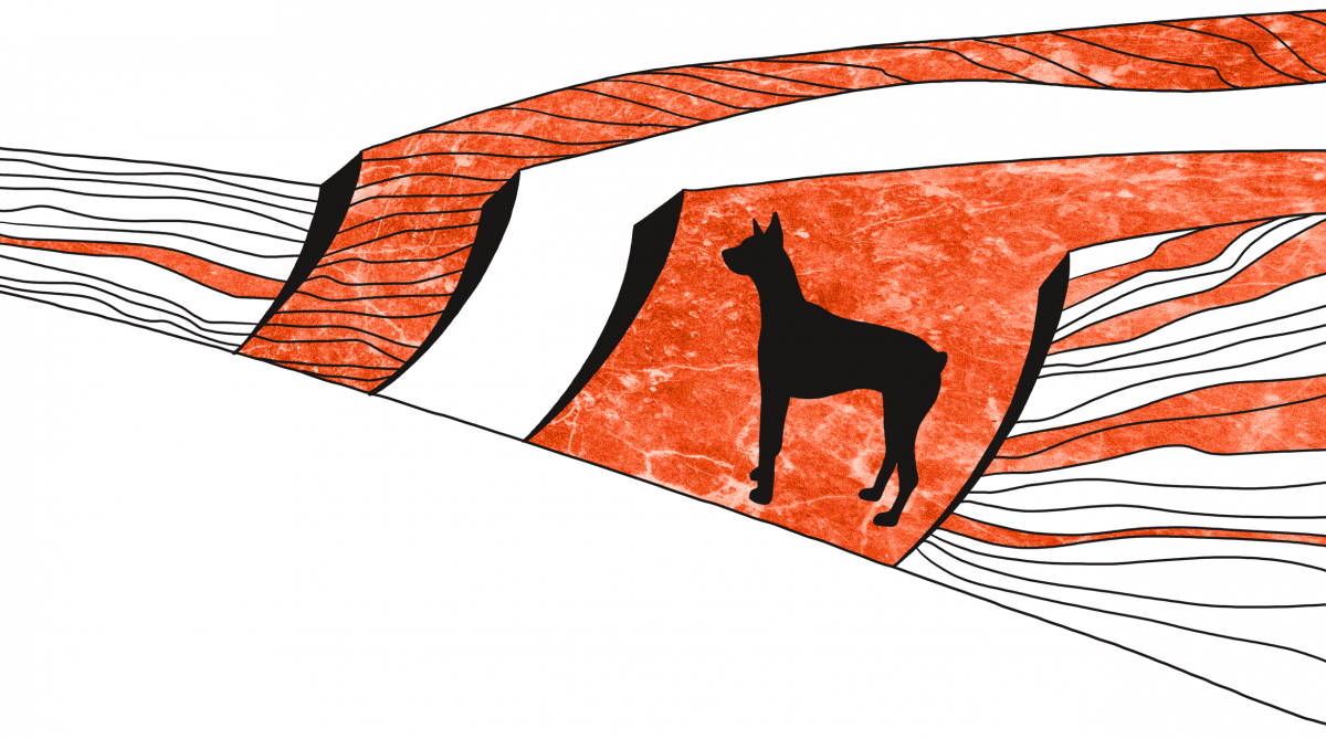 Casino Royale, “CRX”: Il futuro è un’isola